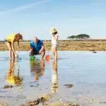 guide de la pêche à pied