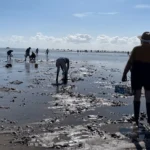 Les grandes marées à La Rochelle