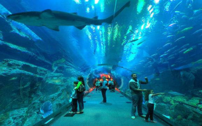 Aquarium de La Rochelle